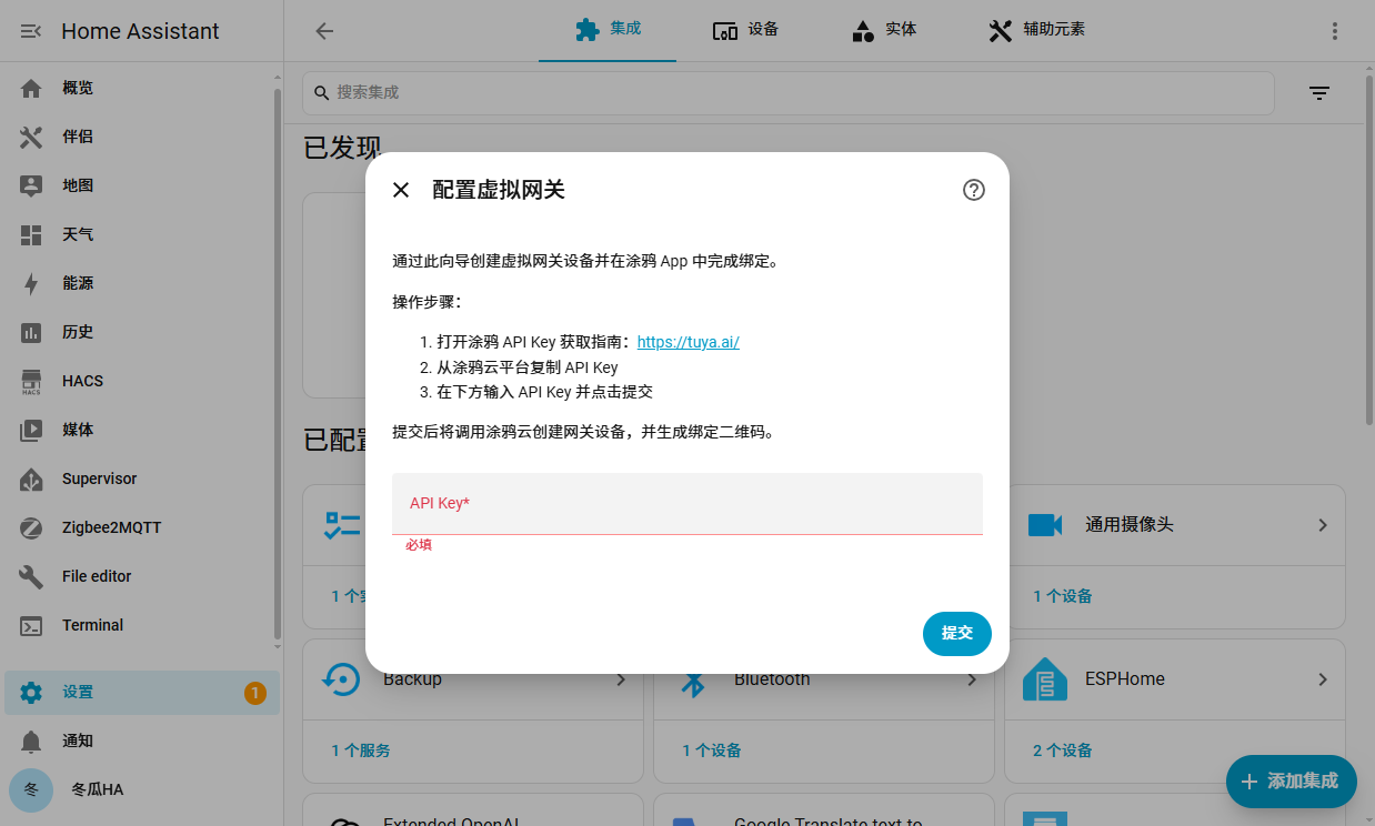 涂鸦接入ha教程